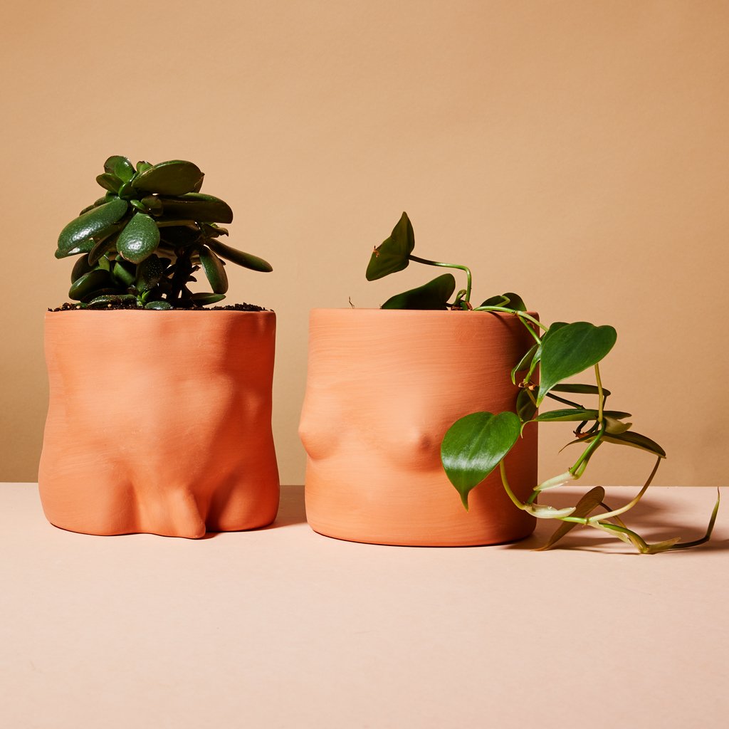 Terra Cotta Body Planters