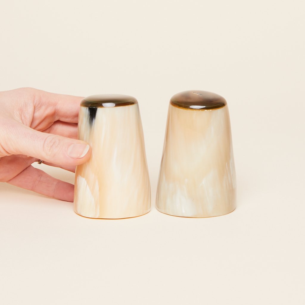 Horn Salt & Pepper Set