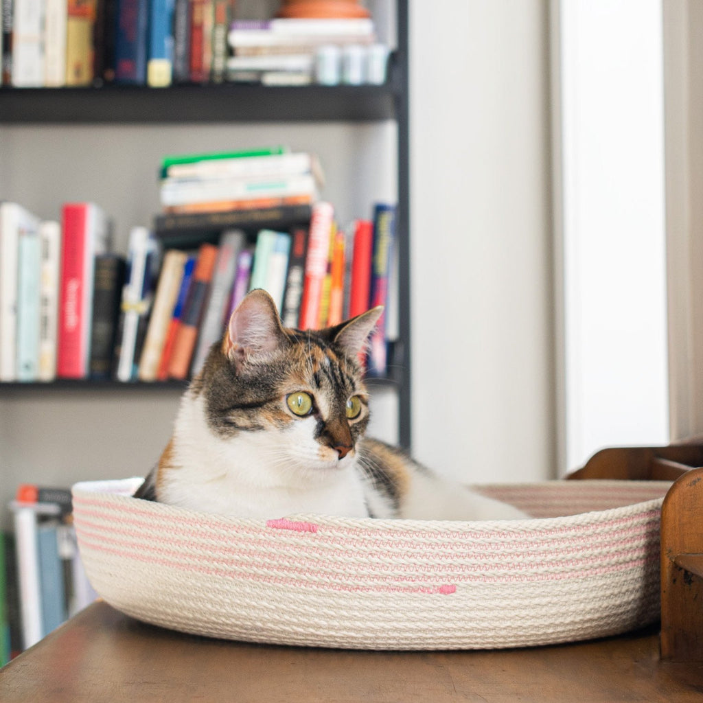 Cat Bed