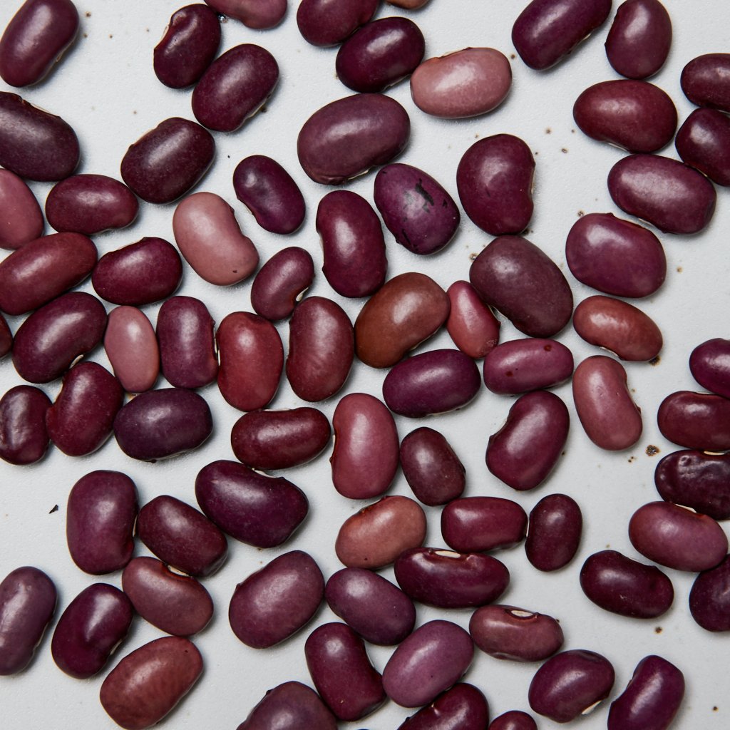 Ayocote Morado Beans