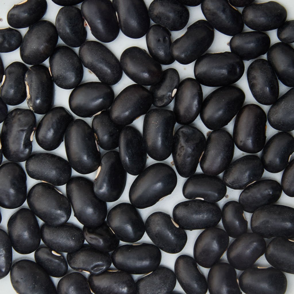 Ayocote Negro Beans