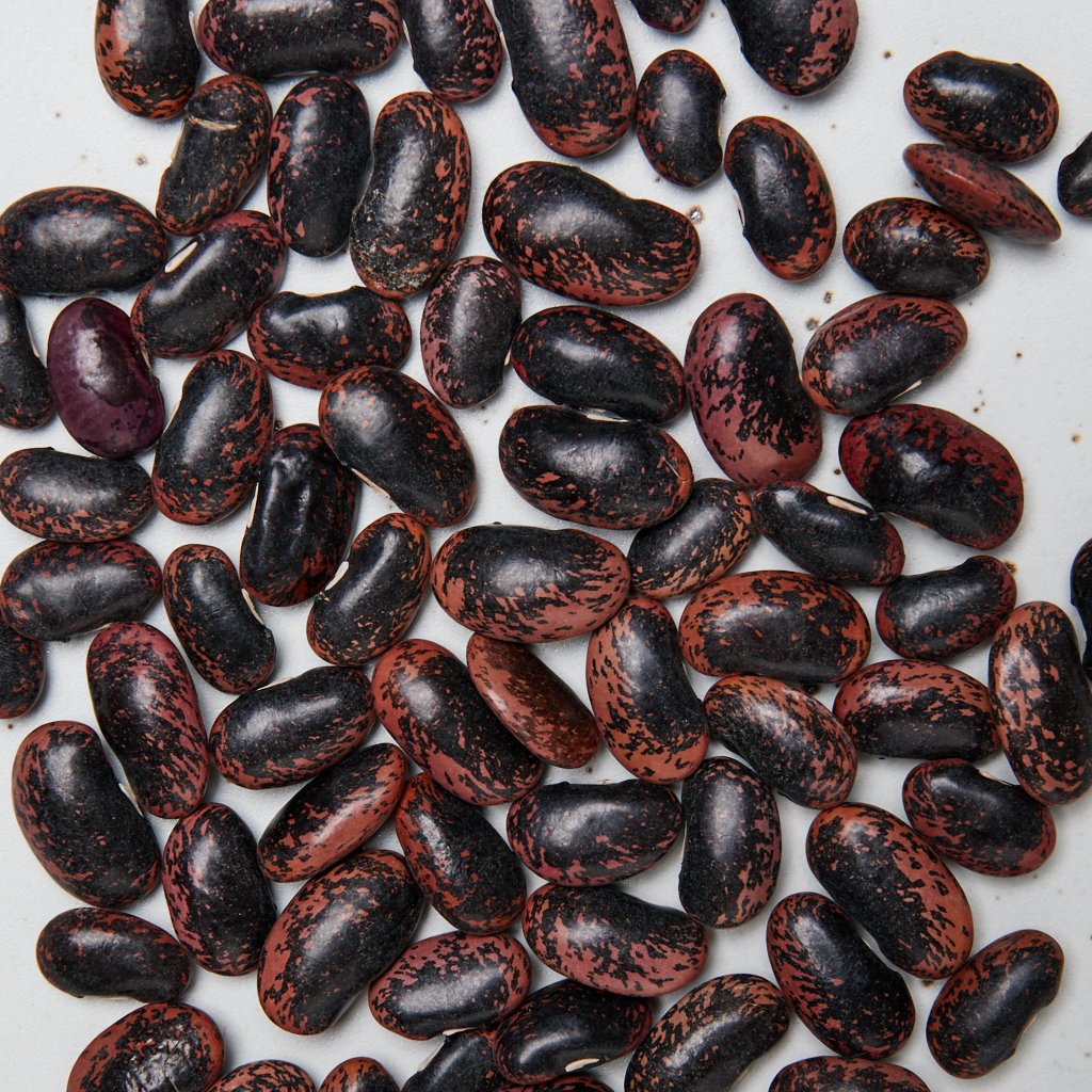 Scarlet Runner Beans